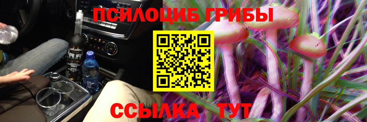 Галлюциногенные грибы мухоморы Старая Купавна